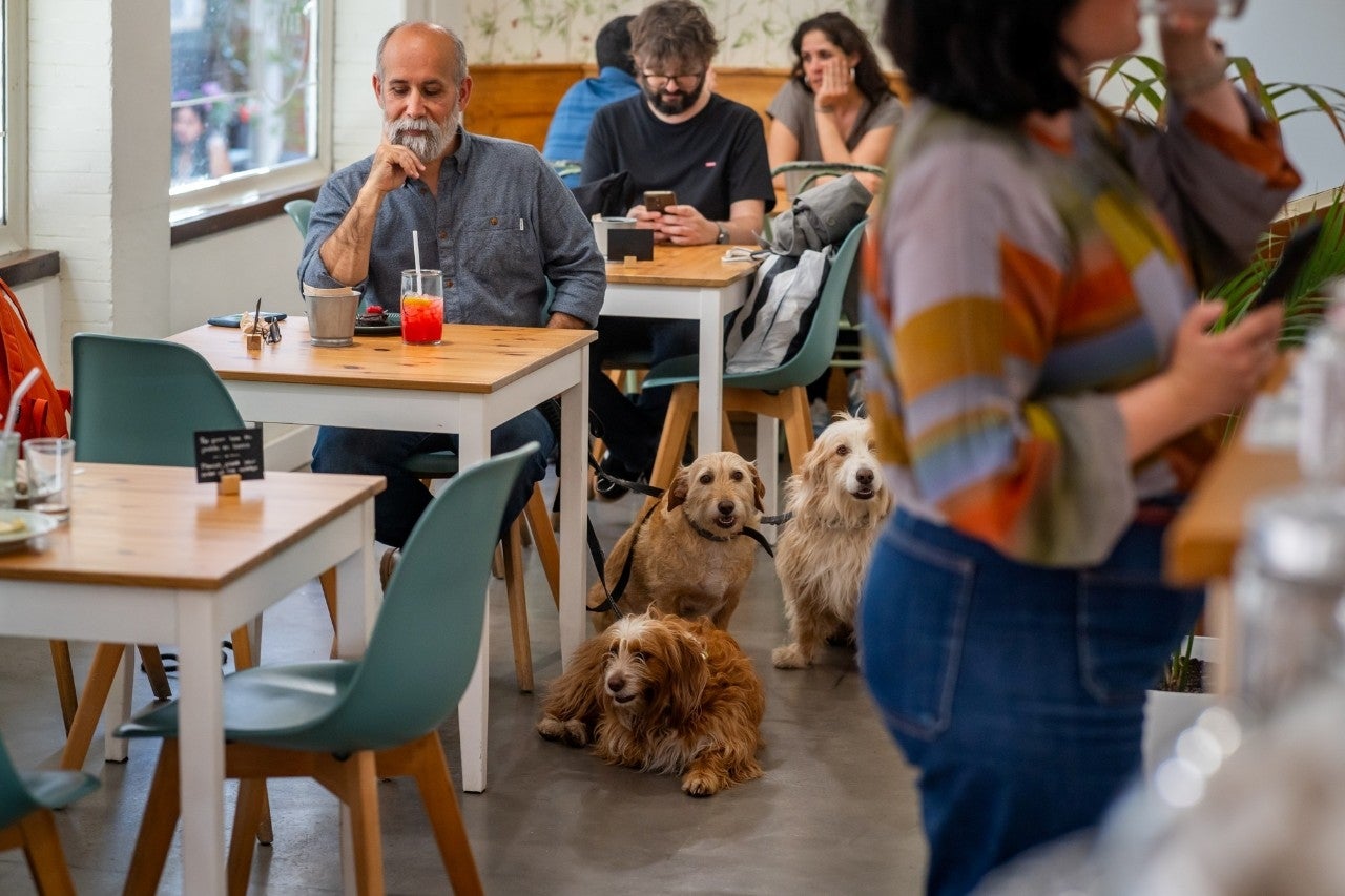 Sevilla 'pet friendly': comer (y beber) en la mejor compañía
